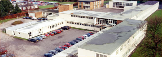 welcome image